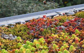 the cost of Chilton Street green roof installation