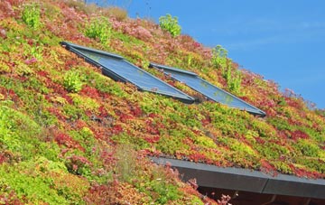 Chilton Street living roof systems